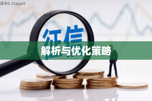 辽阳解析与优化策略