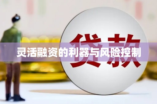 辽阳灵活融资的利器与风险控制