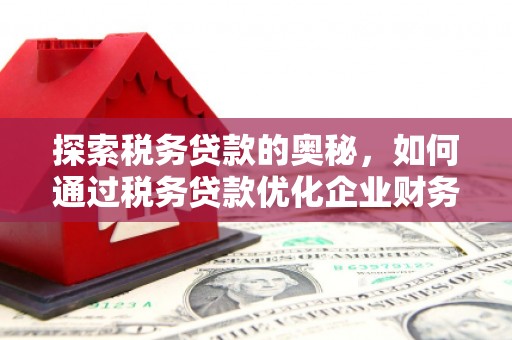辽阳探索税务贷款的奥秘，如何通过税务贷款优化企业财务