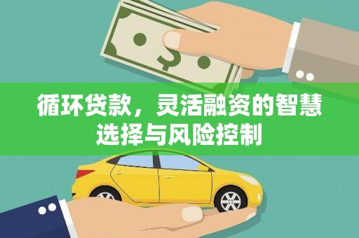 辽阳循环贷款，灵活融资的智慧选择与风险控制