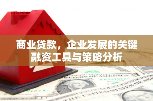 辽阳商业贷款，企业发展的关键融资工具与策略分析