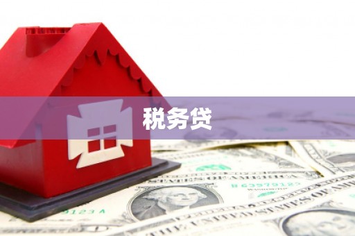 辽阳税务贷
