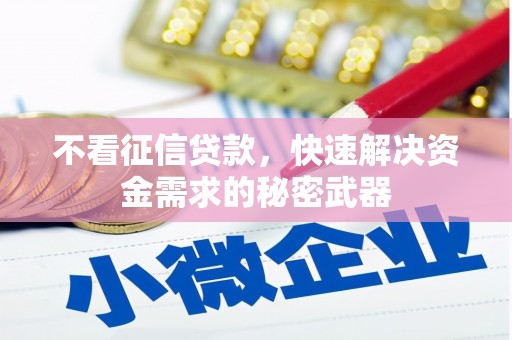 辽阳不看征信贷款，快速解决资金需求的秘密武器