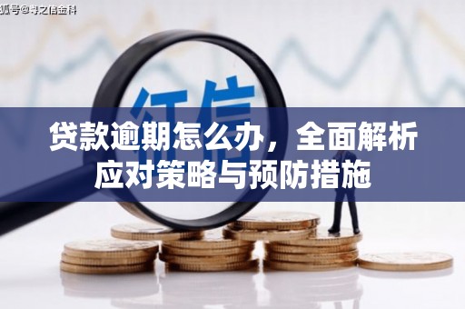 辽阳贷款逾期怎么办，全面解析应对策略与预防措施