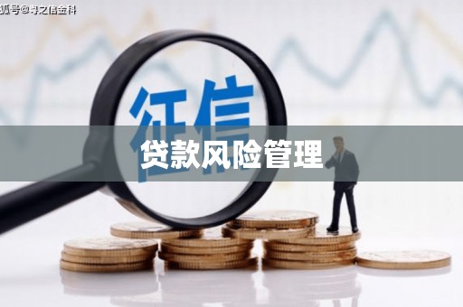 辽阳贷款风险管理