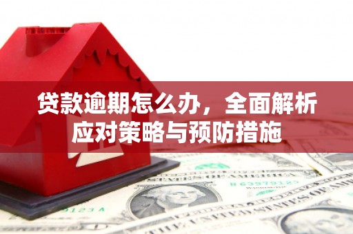 辽阳贷款逾期怎么办，全面解析应对策略与预防措施