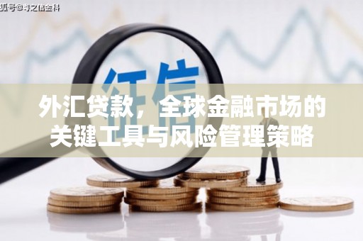 辽阳外汇贷款，全球金融市场的关键工具与风险管理策略