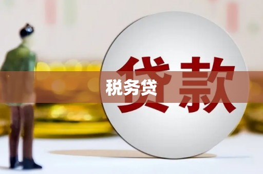 辽阳税务贷