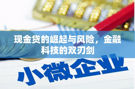 辽阳现金贷的崛起与风险，金融科技的双刃剑