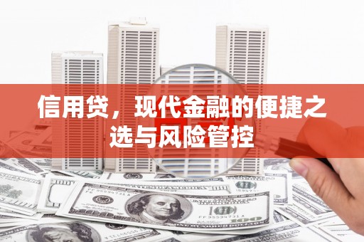 辽阳信用贷，现代金融的便捷之选与风险管控