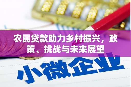 辽阳农民贷款助力乡村振兴，政策、挑战与未来展望