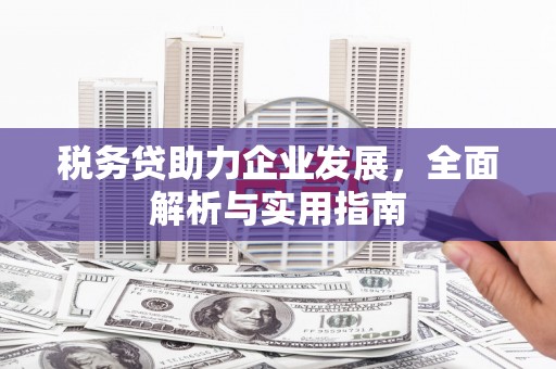 辽阳税务贷助力企业发展，全面解析与实用指南