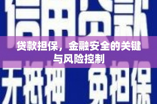 辽阳贷款担保，金融安全的关键与风险控制