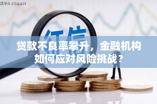 辽阳贷款不良率攀升，金融机构如何应对风险挑战？