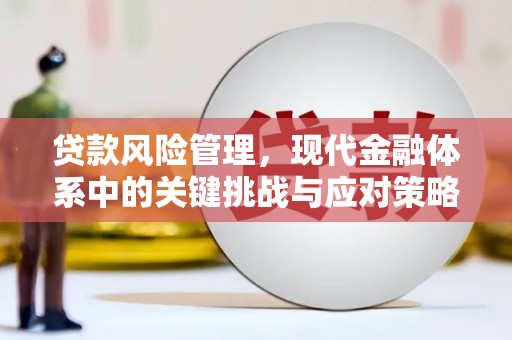 辽阳贷款风险管理，现代金融体系中的关键挑战与应对策略