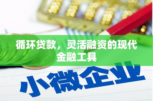 辽阳循环贷款，灵活融资的现代金融工具
